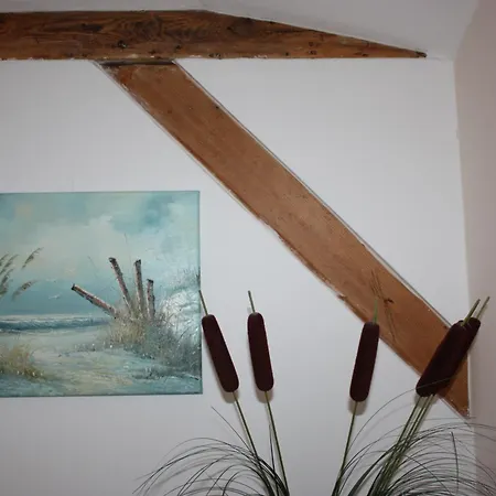 公寓 Brise Lindenstrasse App 08 *